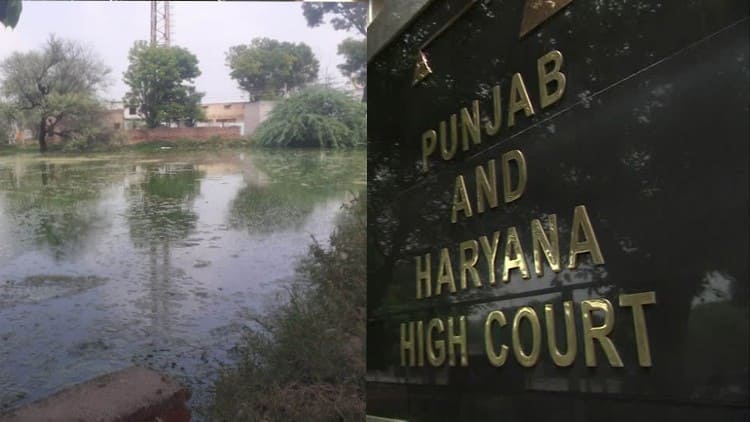 punjab-and-haryana-high-court