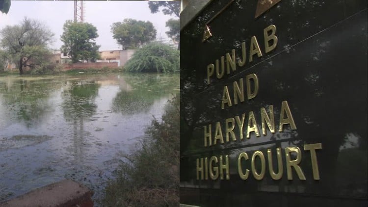 punjab and haryana high court