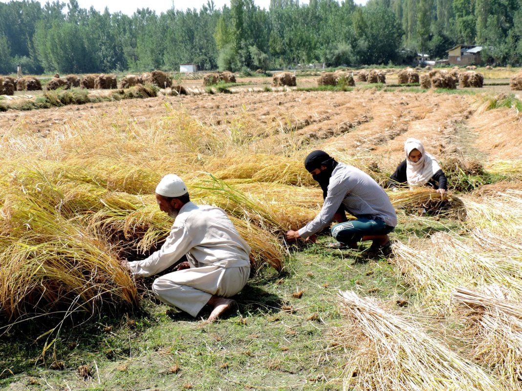 farmer-working