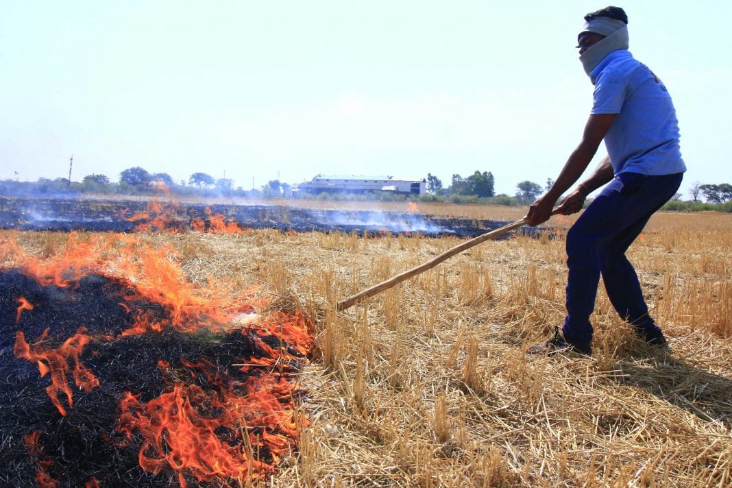 stubble-burning