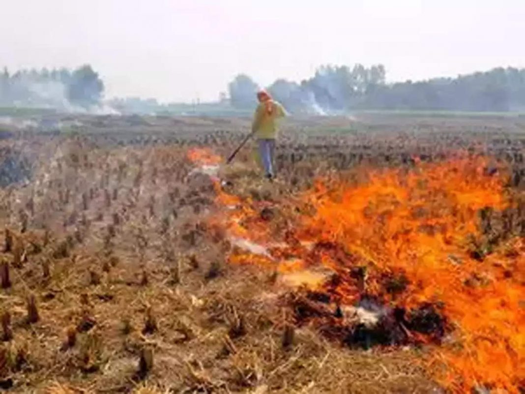 stubble-burning